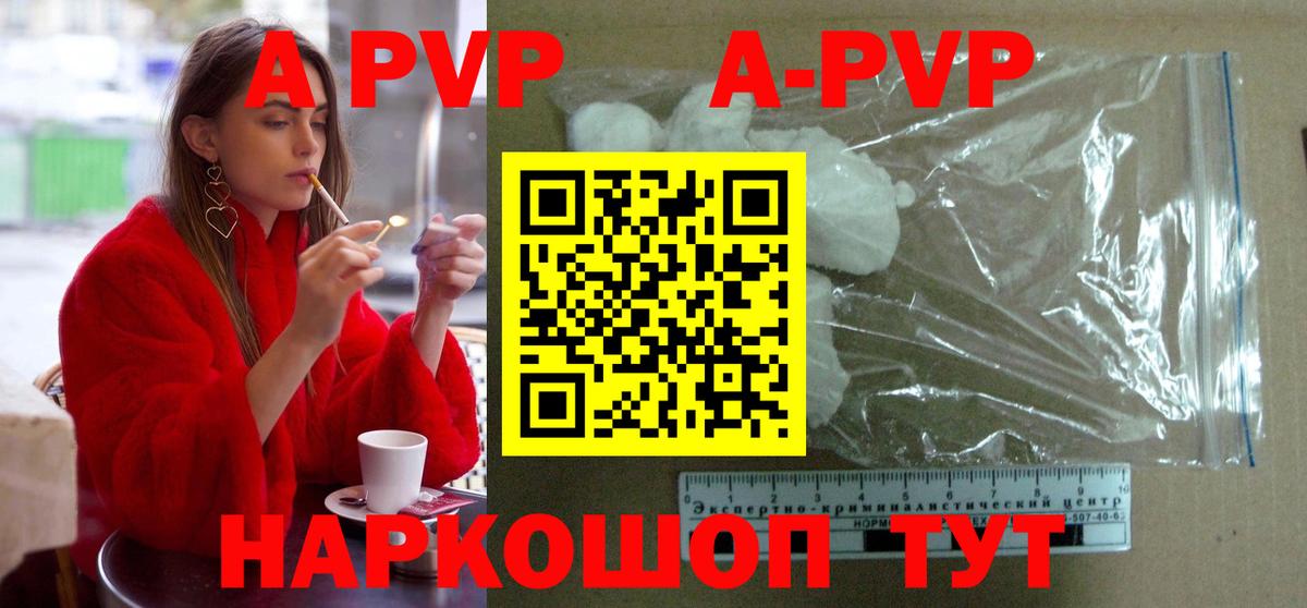 A PVP СК Городец
