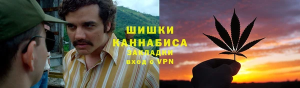 стаф Бронницы