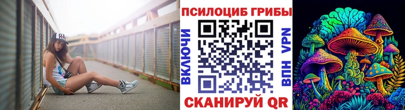 Псилоцибиновые грибы Cubensis  магазин  наркотиков  Городец 