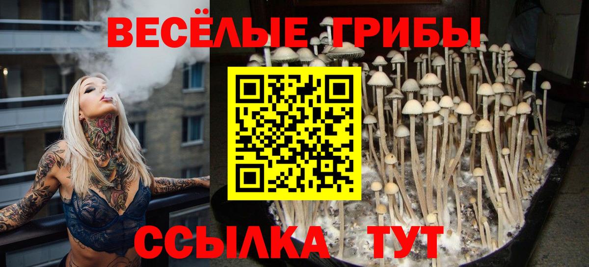 Галлюциногенные грибы Psilocybine cubensis Городец