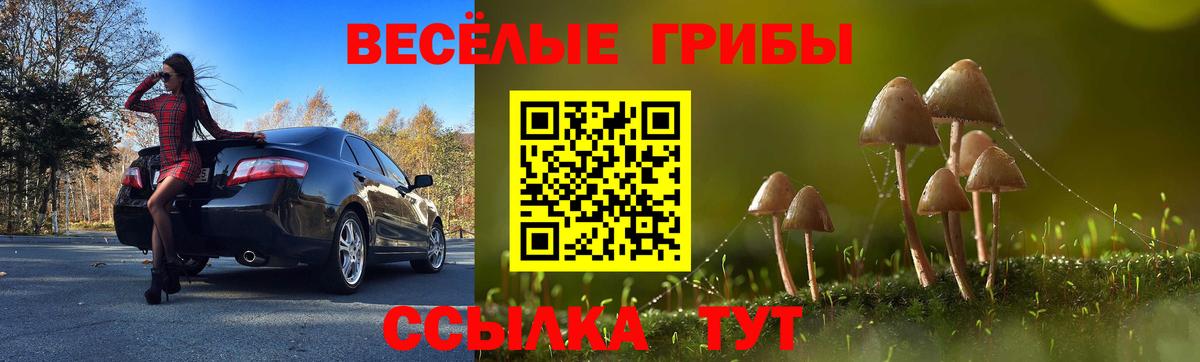 Псилоцибиновые грибы прущие грибы  Вход с VPN  Псилоцибиновые грибы MAGIC MUSHROOMS  Городец 